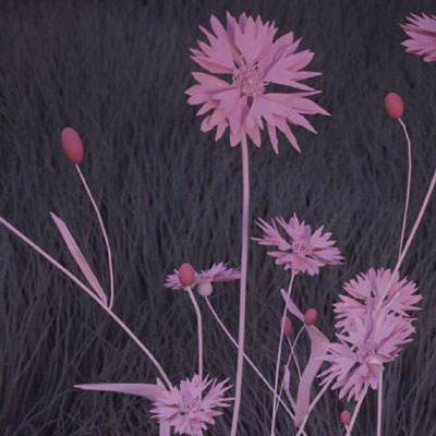 百人牛牛游戏软件手机app下载