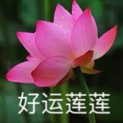 开元im电竞官网